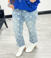 Judy Blue Star Cropped Straight Leg Jeans